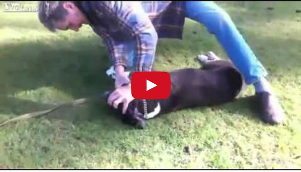 This boxer is basically dead but a trainer does a something of a miracle that saves his life!! [Video]